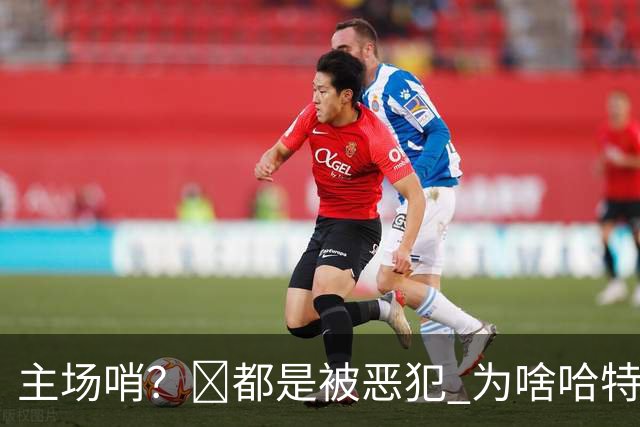 主场哨？🧠都是被恶犯 为啥哈特罚一个 文班罚两个？